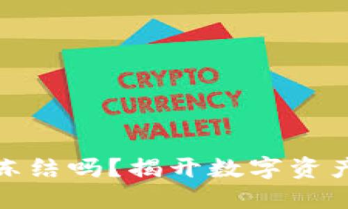 数字货币钱包能冻结吗？揭开数字资产保护的神秘面纱