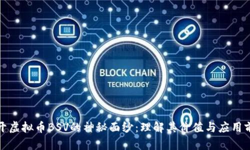 揭开虚拟币BSV的神秘面纱：理解其价值与应用前景