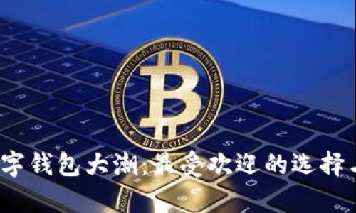 2023年数字钱包大潮：最受欢迎的选择与应用分析