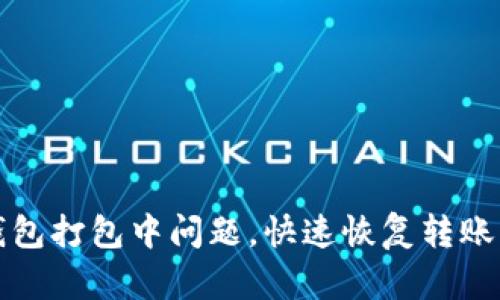 解决TP钱包打包中问题，快速恢复转账畅通体验