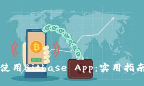 如何高效下载和使用Bitbase App：实用指南与用户体验分享