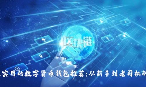 2023年最实用的数字货币钱包推荐：从新手到老司机的最佳选择