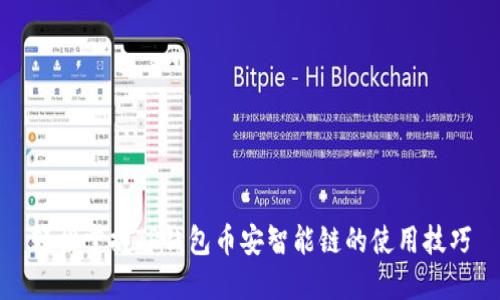 轻松掌握TP钱包币安智能链的使用技巧