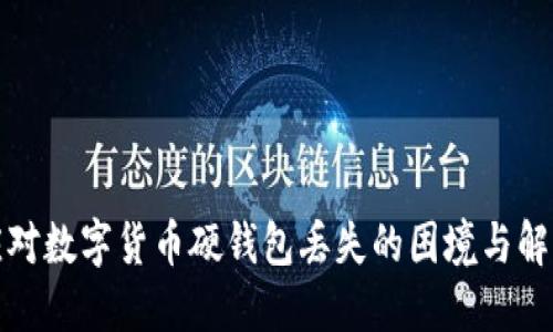 如何应对数字货币硬钱包丢失的困境与解决方案