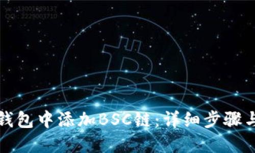 如何在TP钱包中添加BSC链：详细步骤与实用技巧