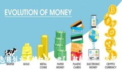 TP钱包转到交易所打包失败