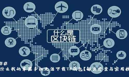 ### 
为什么我的苹果手机无法下载TP钱包？解决方案与实用技巧