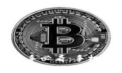 虚拟币投资新手必看：手