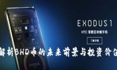 解析BHD币的未来前景与投