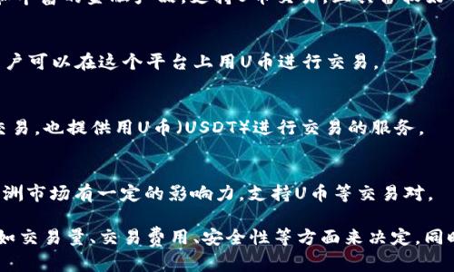 在币圈中，有许多平台提供数字货币（如比特币、以太坊及各种代币）的交易服务。以下是一些较为知名的U币交易所平台，供你参考：

1. **币安（Binance）**：
   - 币安是全球最大的数字货币交易所之一，提供多种加密货币的交易对，包括U币（USDT）。它的流动性和交易量非常高，同时也提供了多种金融产品，如期货合约、杠杆交易等。

2. **火币（Huobi）**：
   - 火币是中国知名的数字资产交易平台，全球化布局。该平台支持多种交易对，用户可以用U币进行交易，具有安全性高、流动性强的特点。

3. **OKEx**：
   - OKEx也是一个大规模的数字货币交易所，支持U币交易。除了常规的现货交易，OKEx还提供期货和金融衍生品交易。

4. **Coinbase**：
   - 虽然主要面向北美市场，Coinbase也是一个受到广泛欢迎的交易所。用户可以通过这个平台使用U币和其他加密货币进行交易，但它的服务可能在不同国家有所不同。

5. **Kraken**：
   - Kraken是一个老牌的加密货币交易所，提供多种交易对以及U币的交易选项。以其安全性和用户友好的操作界面而著称。

6. **Bitfinex**：
   - Bitfinex平台支持大量的加密货币交易，包括USDT。它也提供了许多高级功能，如保证金交易和交易信号。

7. **Gate.io**：
   - Gate.io是一个相对较新的交易平台，但它具有多种交易对和丰富的金融产品，支持U币交易，且具备较好的用户反馈。

8. **Bittrex**：
   - Bittrex以其高安全性保证，在欧美市场有一定的影响力，用户可以在这个平台上用U币进行交易。

9. **KuCoin**：
   - KuCoin是一个新兴的加密货币交易平台，支持各类代币的交易，也提供用U币（USDT）进行交易的服务。

10. **Bitstamp**：
    - Bitstamp是一个历史悠久的加密货币交易所，尤其是在欧洲市场有一定的影响力，支持U币等交易对。

以上这些平台各有特色，选择合适的交易所可以根据自己的需求，如交易量、交易费用、安全性等方面来决定。同时，请在使用这些平台前务必了解相关的风险和法律合规问题。