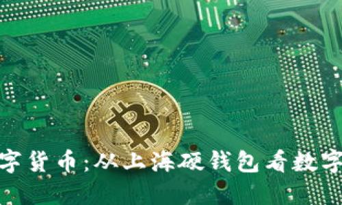 如何安全使用数字货币：从上海硬钱包看数字资产的保护之道