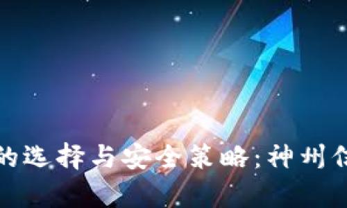 数字货币钱包的选择与安全策略：神州信息的深度解析