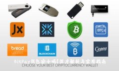 BitPay钱包安全吗？深度解