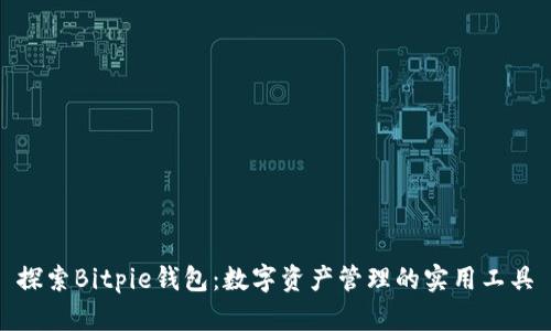 探索Bitpie钱包：数字资产管理的实用工具
