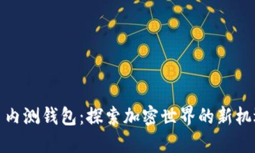 数字货币内测钱包：探索加密世界的新机遇与挑战