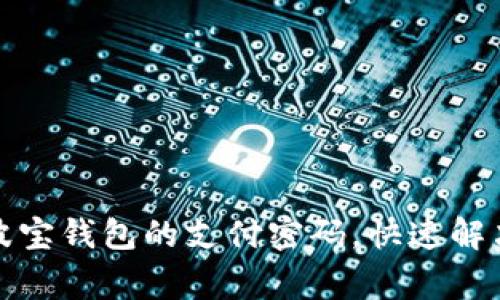 如何找回波宝钱包的支付密码，快速解决常见问题