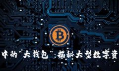 探寻区块链世界中的“大