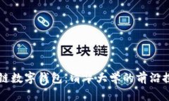 解密区块链数字钱包：清