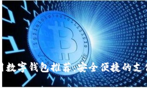 国内常用数字钱包推荐：安全便捷的支付新选择