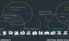 如何高效查询波场区块链