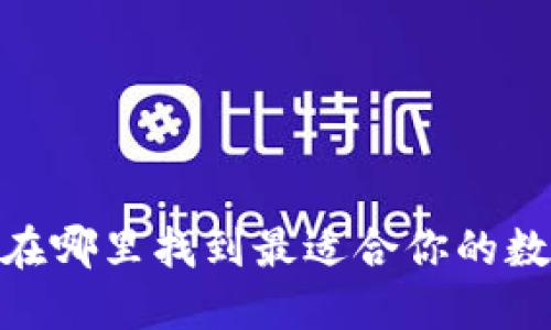 数字钱包大揭秘：在哪里找到最适合你的数字支付解决方案？