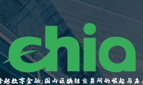 
跨越数字金融：国内区块链交易所的崛起与未来