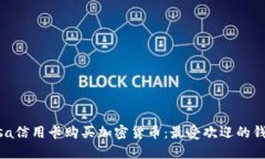 使用Visa信用卡购买加密货