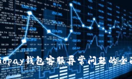 解决Gopay钱包客服异常问题的全面指南