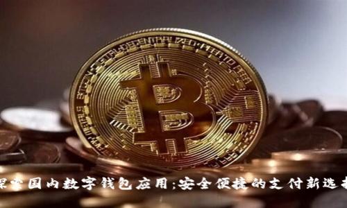 探索国内数字钱包应用：安全便捷的支付新选择